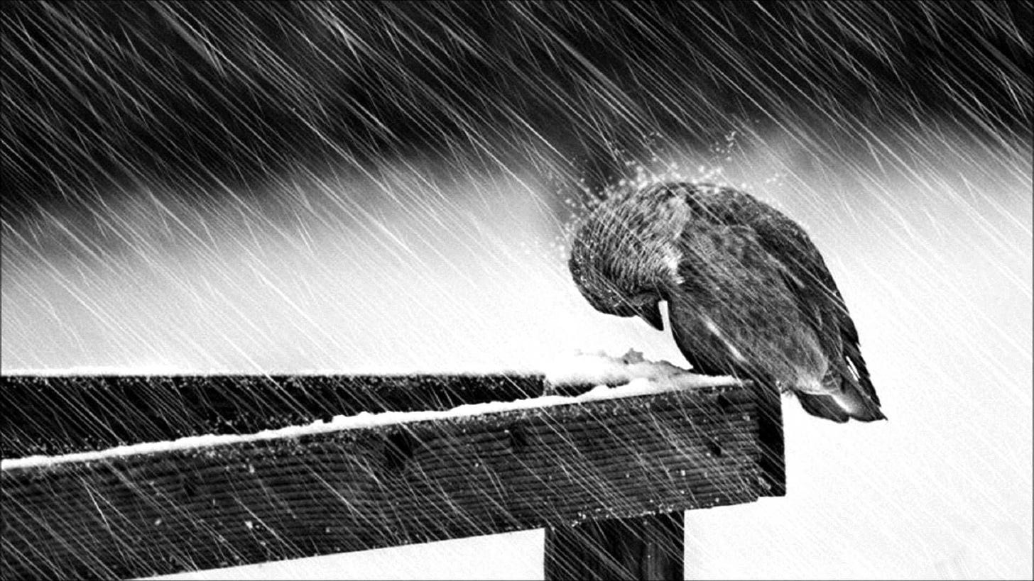 1920x1080 depression sad mood sorrow dark people love winter rain wallpaper
