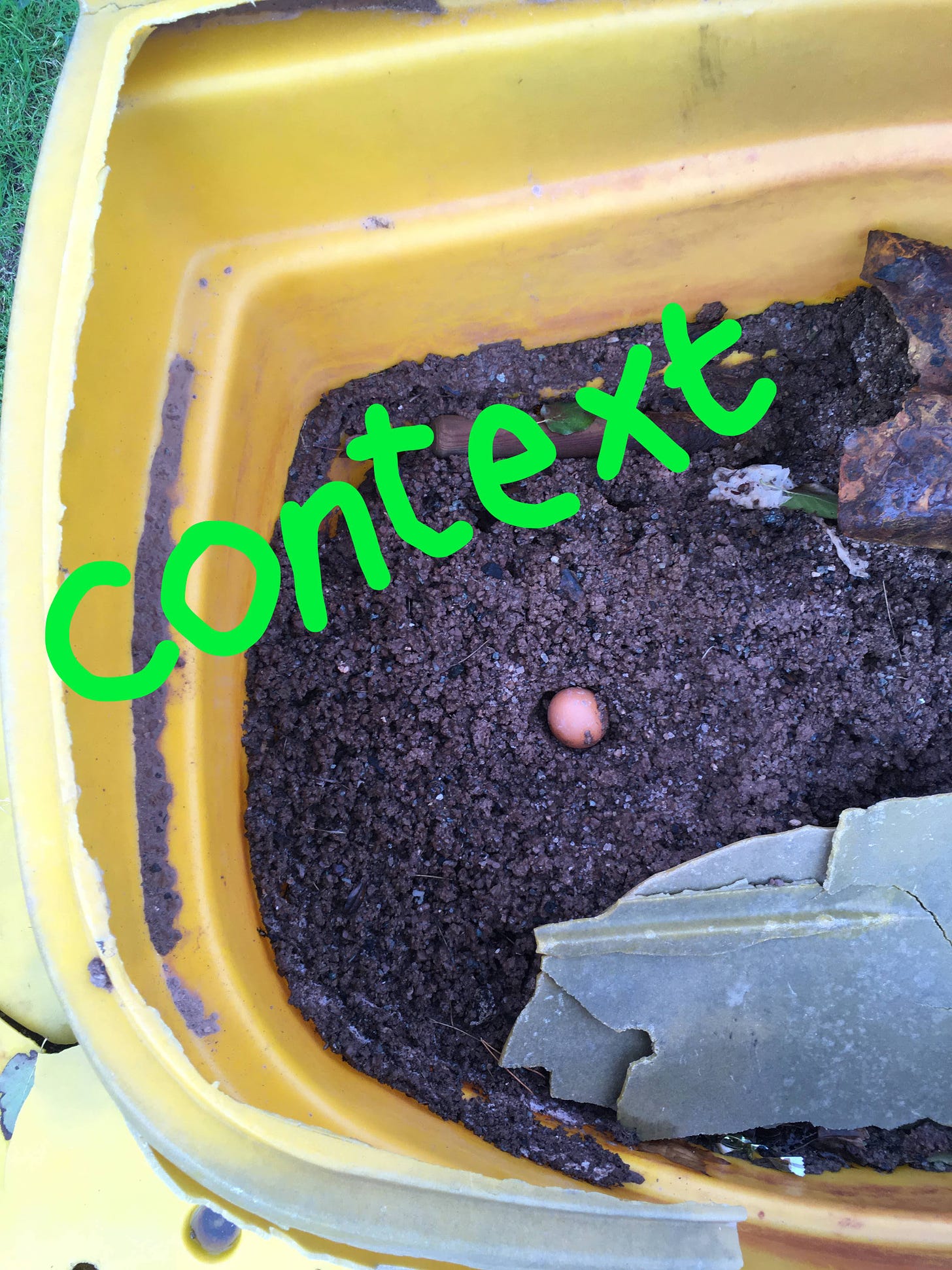 annotated photo of an egg in a grit bin