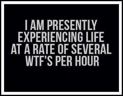 May be an image of text that says 'I AM PRESENTLY EXPERIENCING LIFE AT A RATE OF SEVERAL WTF'S PER HOUR'