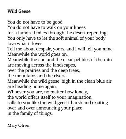 Emily Heller on Twitter: &quot;Wild Geese by Mary Oliver… &quot;