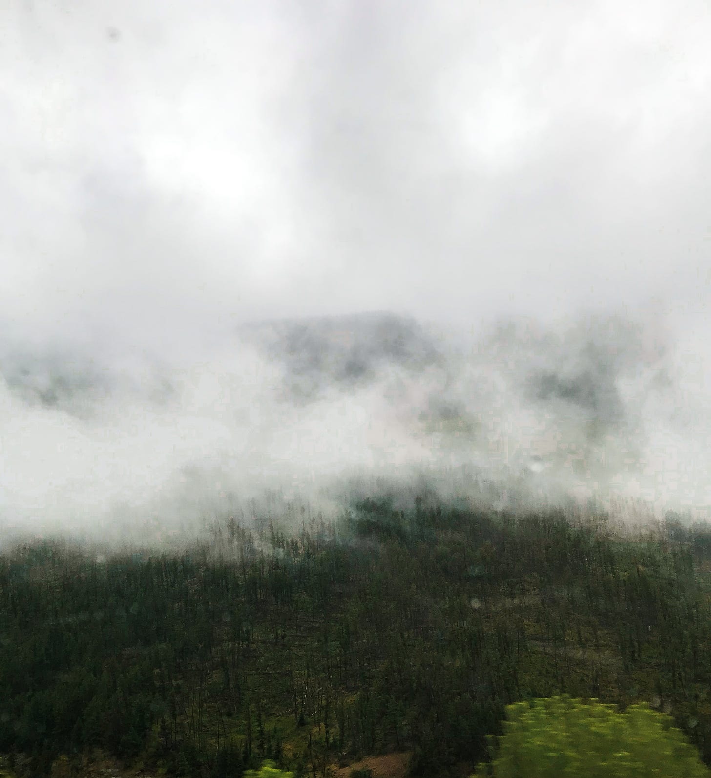 Fog above a mountain forest.