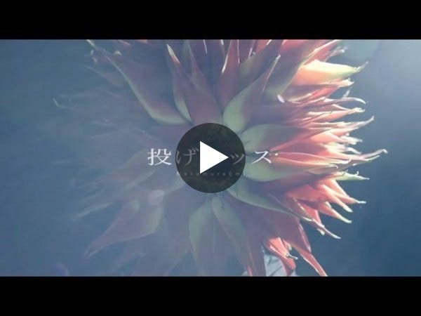 NakamuraEmi「投げキッス」MUSIC VIDEO