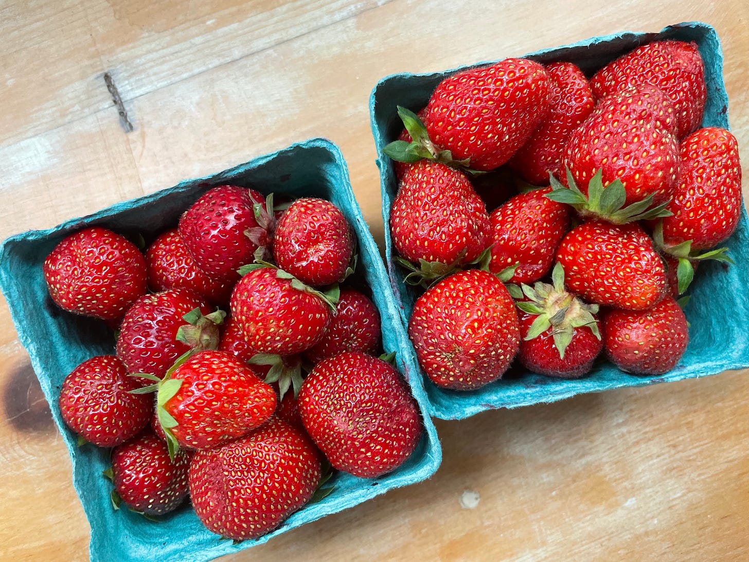 Two cartons of strawberries