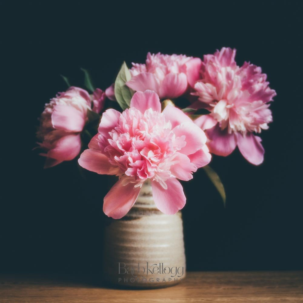 pink peonies in a ceramic vase