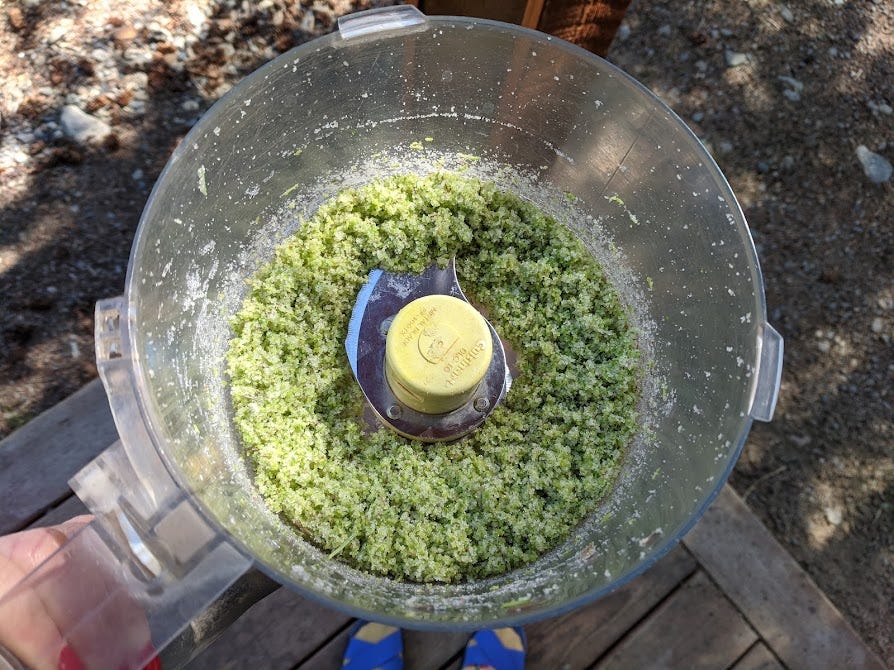 a food processor bowl of spruce tip sugar