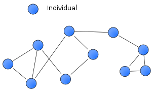 An example of a social network diagram.