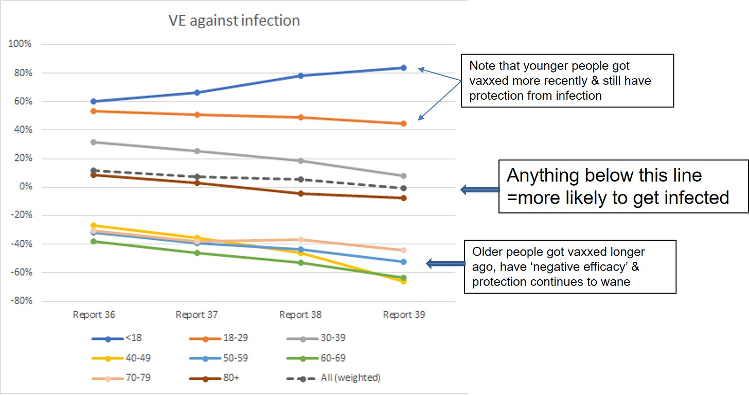 May be an image of text that says '100% VE againstinfection against 80% 60% 40% 20% Note that younger people got vaxxed more recently still have protection from infection 0% -20% -40% -60% -80% Anything below this line =more likely to get infected Report 36 Report 37 <18 Report 38 Older people got vaxxed longer ago, have 'negative efficacy' & protection continues wane 40-49 70-79 Report39 30-39 18-29 50-59 80+ 60-69 All(weighted)'