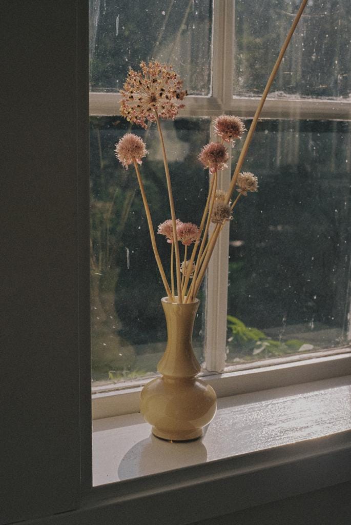 A vase with dried flowers standing on the window sill.