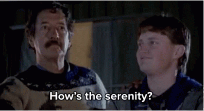 A GIF of two guys saying 'How's the serenity'