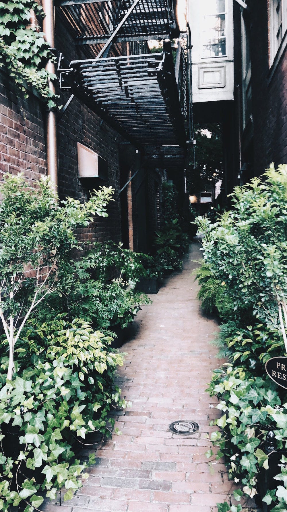 acorn street 6.jpg