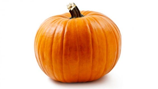 Pumpkin genomes sequenced, revealing uncommon evolutionary history |  Cornell Chronicle