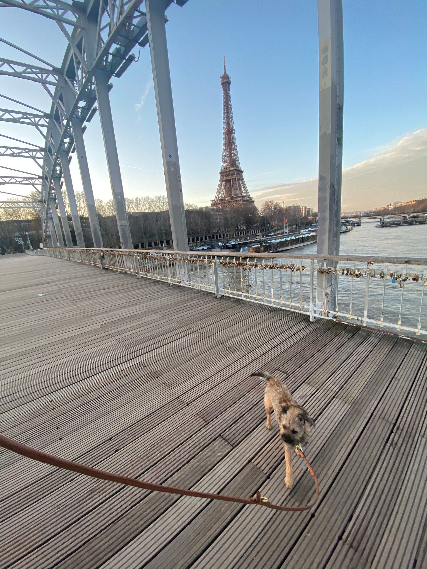 Romanée running with me in Paris