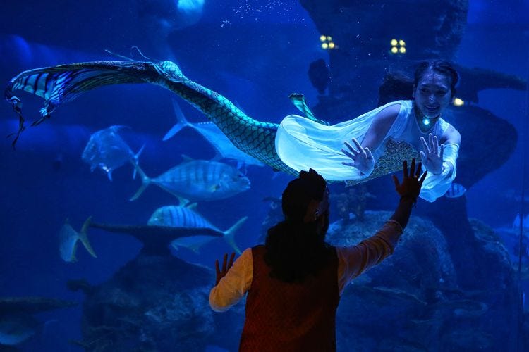 Jakarta Aquarium Tutup Selama PSBB, Masa Berlaku Tiket Diperpanjang