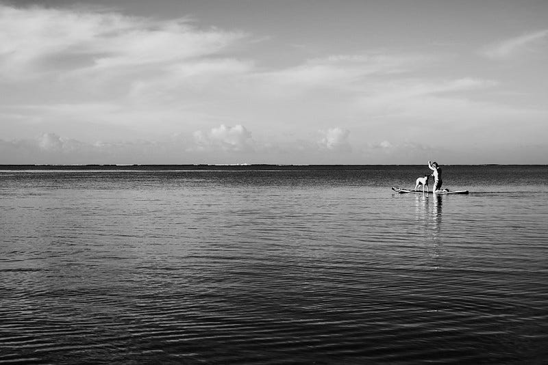 Black and white photo of a woman on a paddleboard with her dog