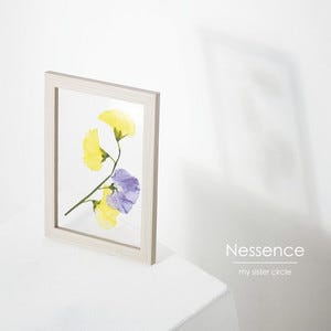 Nessence - Album by my sister circle | Spotify