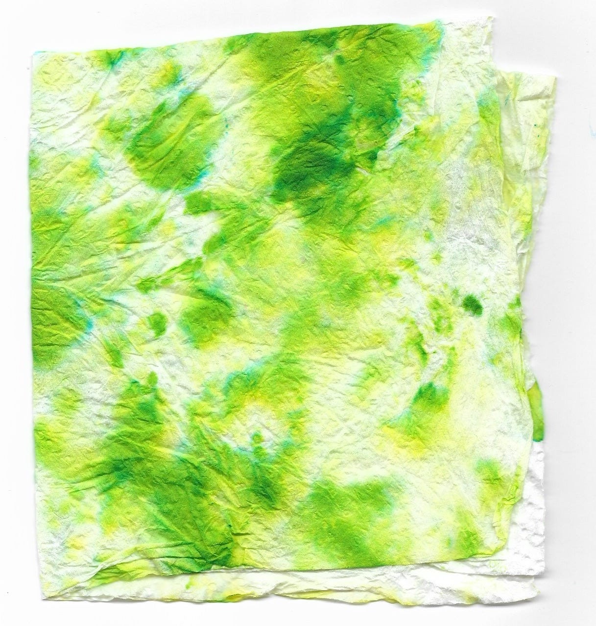 a square-ish piece of paper towel, folded over and spattered from corner to corner with ink in shades of green