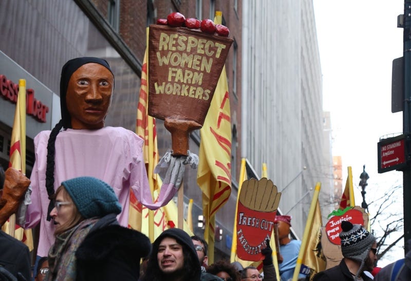At a protest in New York City on a gray winter afternoon, a gorgeous puppet of a Latina woman holding a bucket of tomatoes brings life to the streets. On the bucket is written "Respect women farm workers," and just behind another sign says "fresh cut exploitation." Faces of protestors peek out from the bottom of the frame, while cold, massive skyscrapers rise up behind.