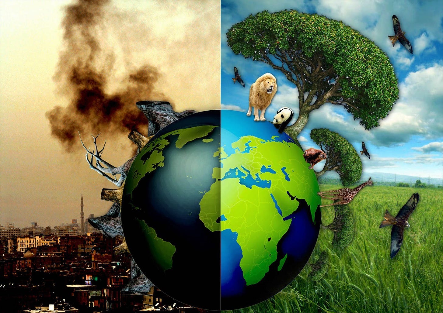 Environmentalism and Islamic Ecotheology on Earth Day