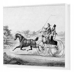 20x16 inch (51x41cm) ready to hang Box Canvas Print. HORSE CARRIAGE, c1859. 
 Fast Team: Out on the Loose'. Engraving by Thomas Worth for Currier & Ives, c1859. horse drawn, ives, worth, currier, 1859. Image supplied by Granger Art on Demand