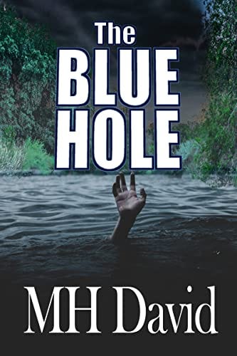 Book cover of The Blue Hole by M H David