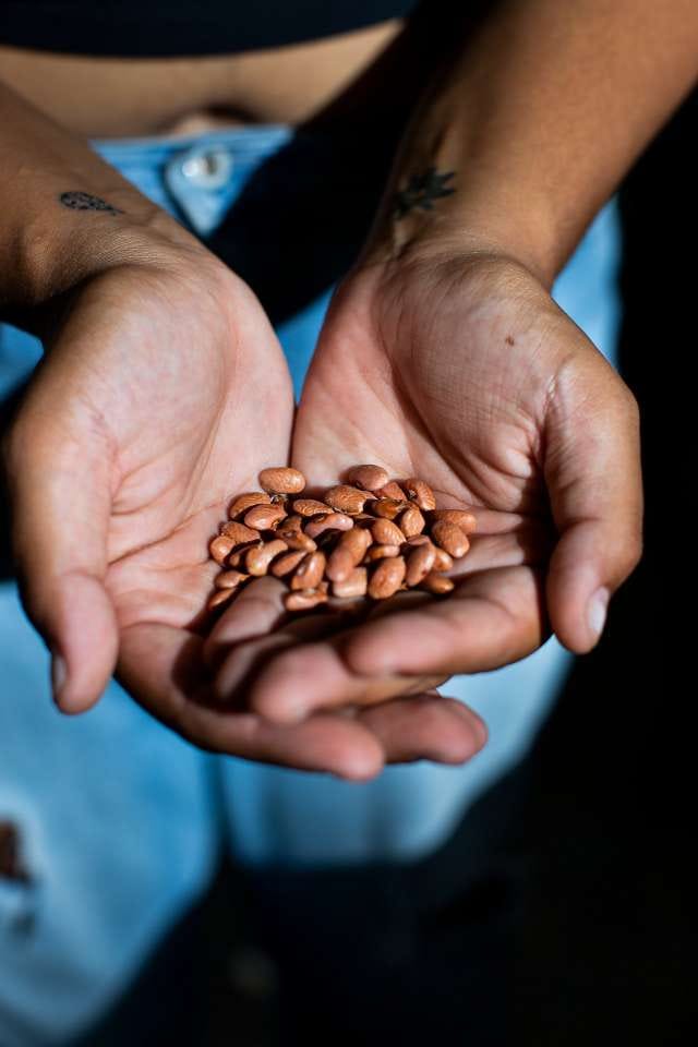 Lex Barlowe, 24, holds a small collection of pink beans at the 8-acre project called Otra Cosa in Puerto Rico.