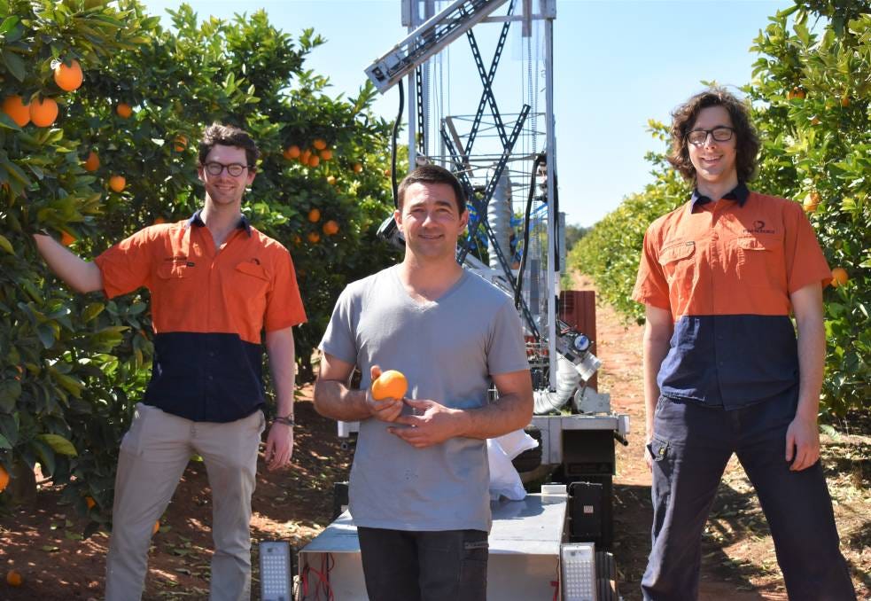 Ripe Robotics prototype &#39;Clive&#39; visits Griffith orange orchard | Good Fruit  &amp; Vegetables | Australia