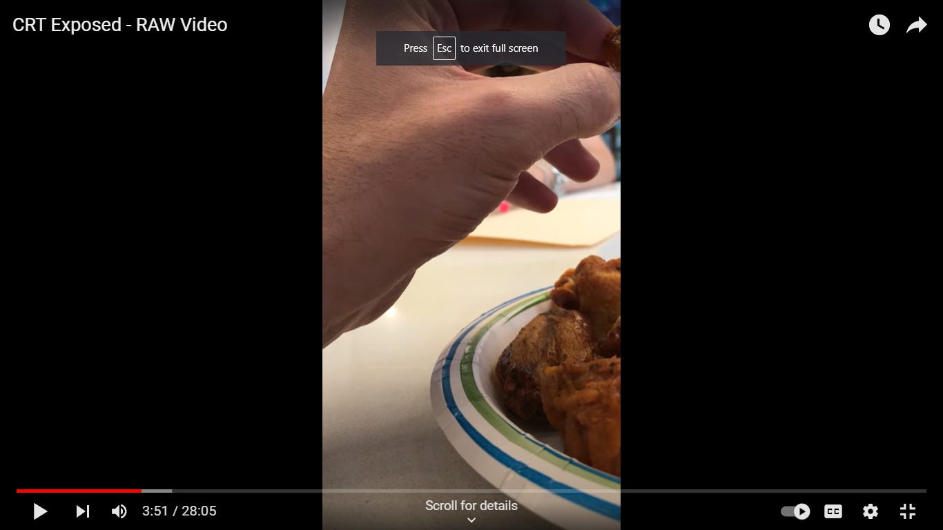 Mahdavi's hand hovers above a paper plate full of pale orange chicken wings, obscuring his subject as she reads the printed article he provided. Still from "CRT Exposed- RAW Video" from the SC House Freedom Caucus Youtube channel.