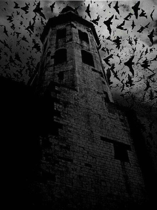 Bats flying around a black and white image of an old bell tower.