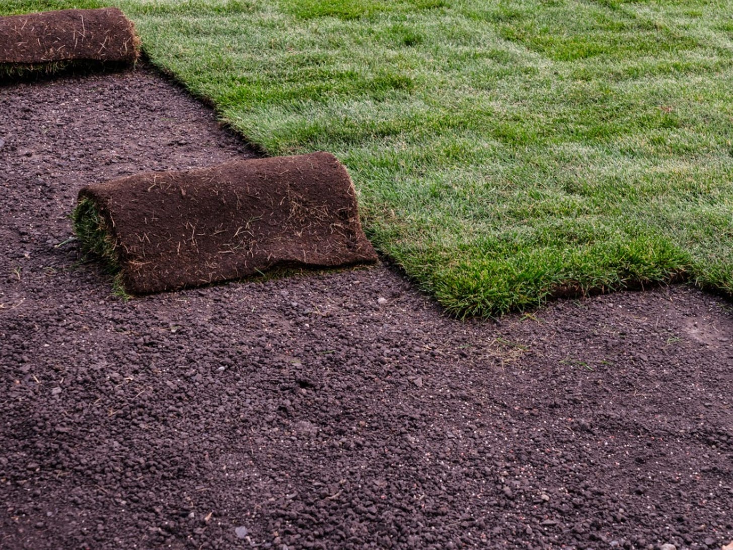 Sod Laying Instructions - How To Lay Sod &amp; Care For New Sod
