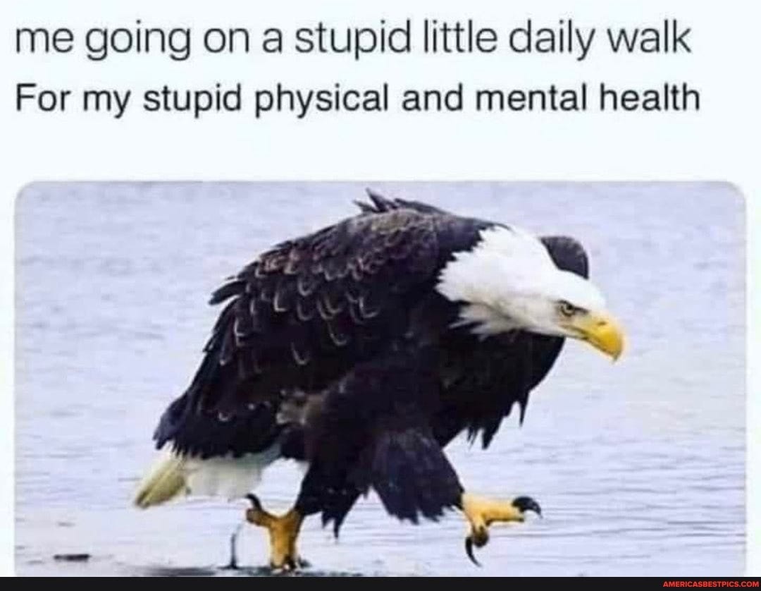 Me going on a stupid little daily walk For my stupid physical and mental  health - America's best pics and videos