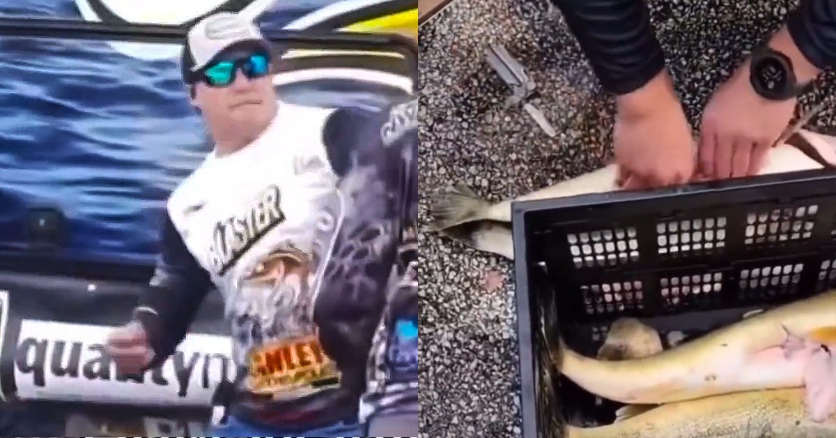 WATCH: Fishing Competion Gets Bonkers When Cheaters Found