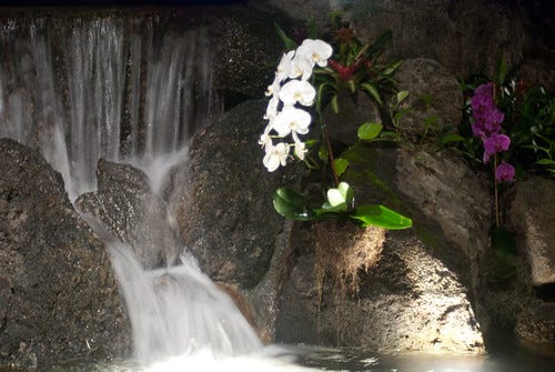 Waterfall at the Polynesian
