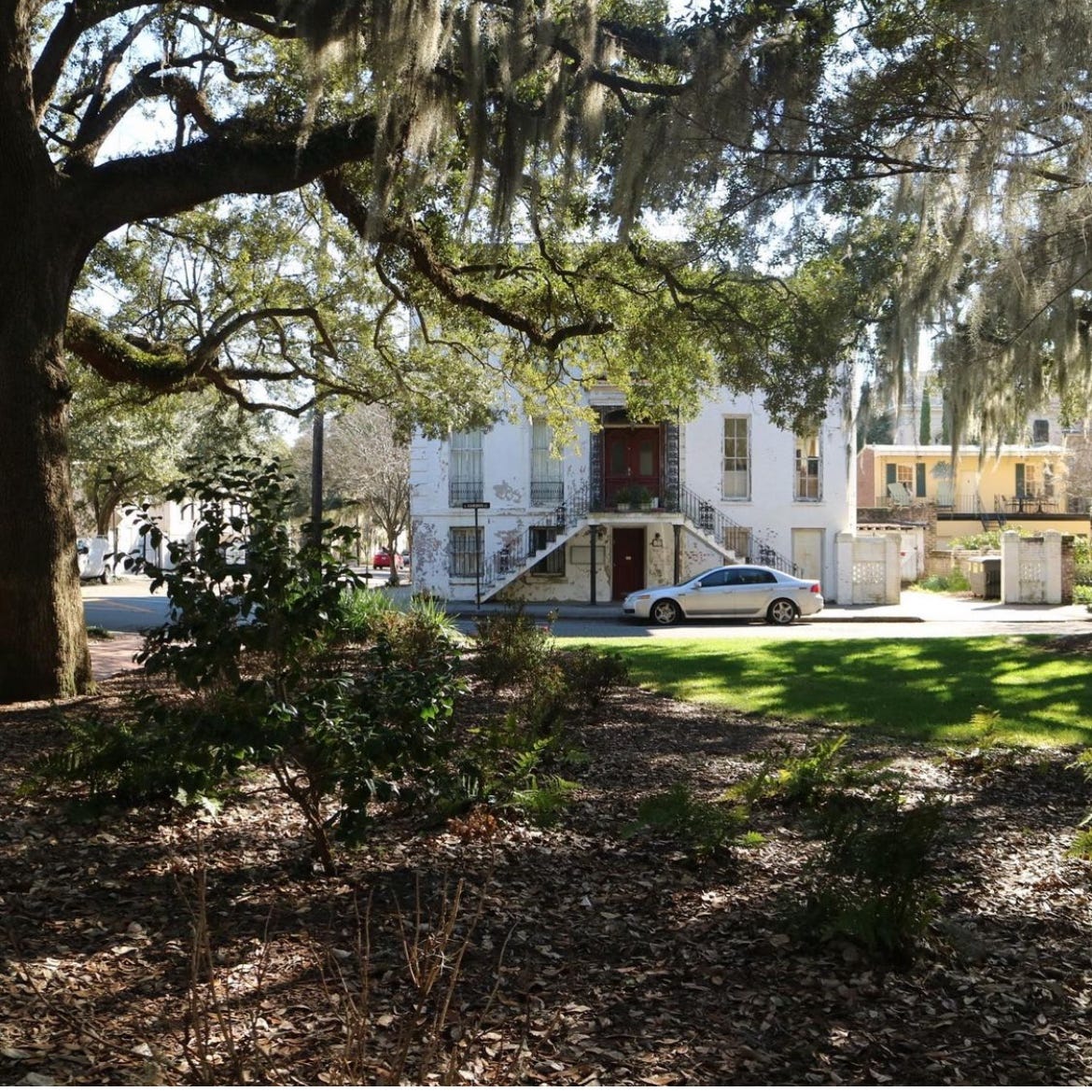 Image: Typical Savannah home hiding behind Spanish moss