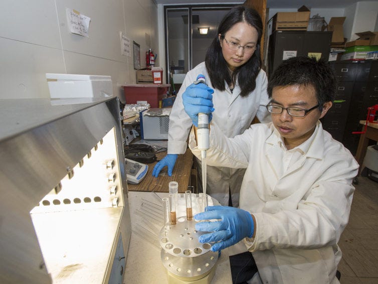 SIU researchers test method to remove contaminants from water