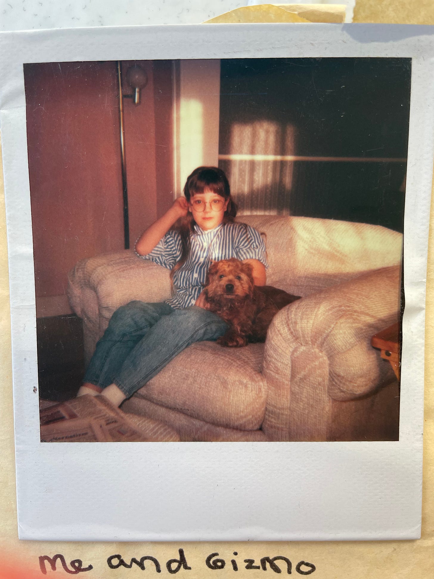 Young girl in glasses sits in a white armchair next to a scruffy cocker spaniel puppy.