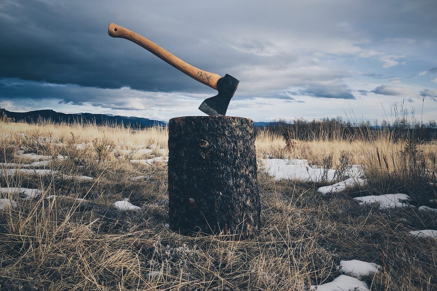 An axe sunk into a stump in the middle of a field with patches of snow. Mountains in the distance
