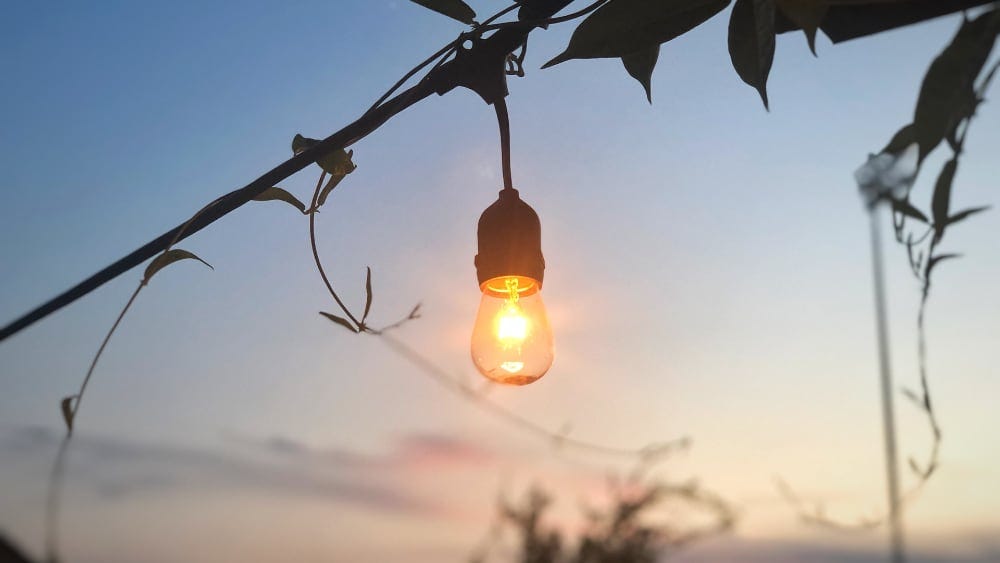 A single lightbulb set against a summer evening sky