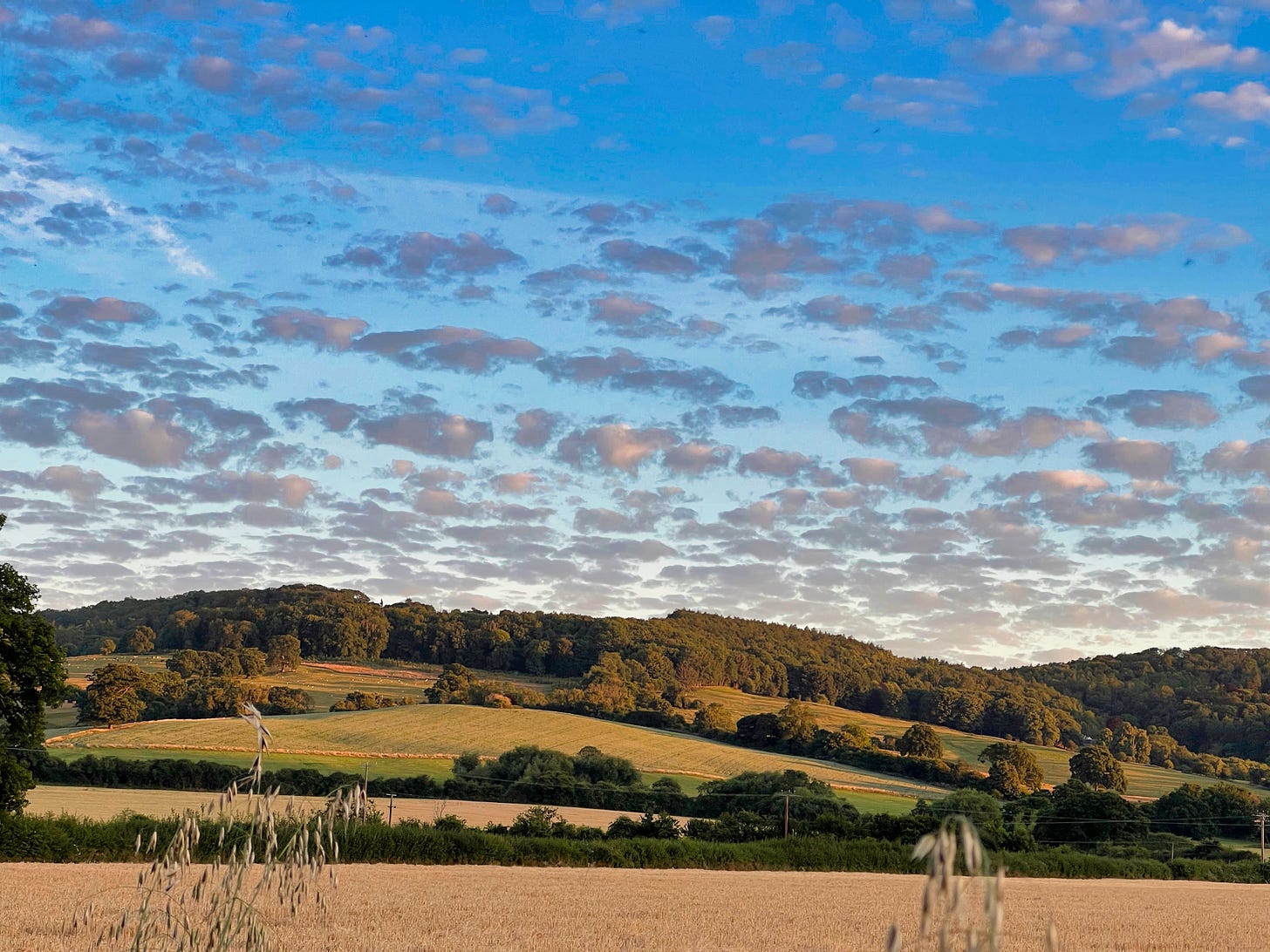 The Cotswolds hills in England against a blue sky with white clouds dotting the sunset.