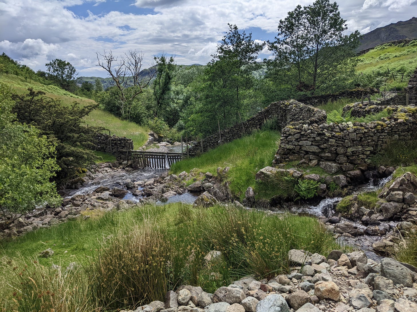 A stream flows through a gate and stone wall in a valley in the Lake District