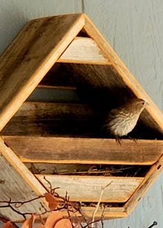 Our wren/dove box is beautifully made of reclaimed redwood. The nesting box is best under the eaves with low traffic, giving the birds a safe place to nest or perch atop.