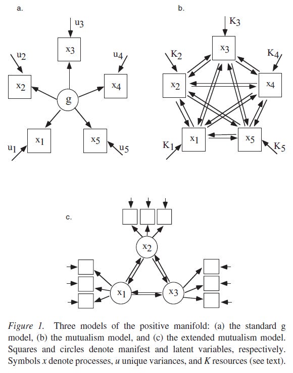 A Dynamical Model of General Intelligence - The Positive Manifold of Intelligence by Mutualism (Maas 2006) Figure 1