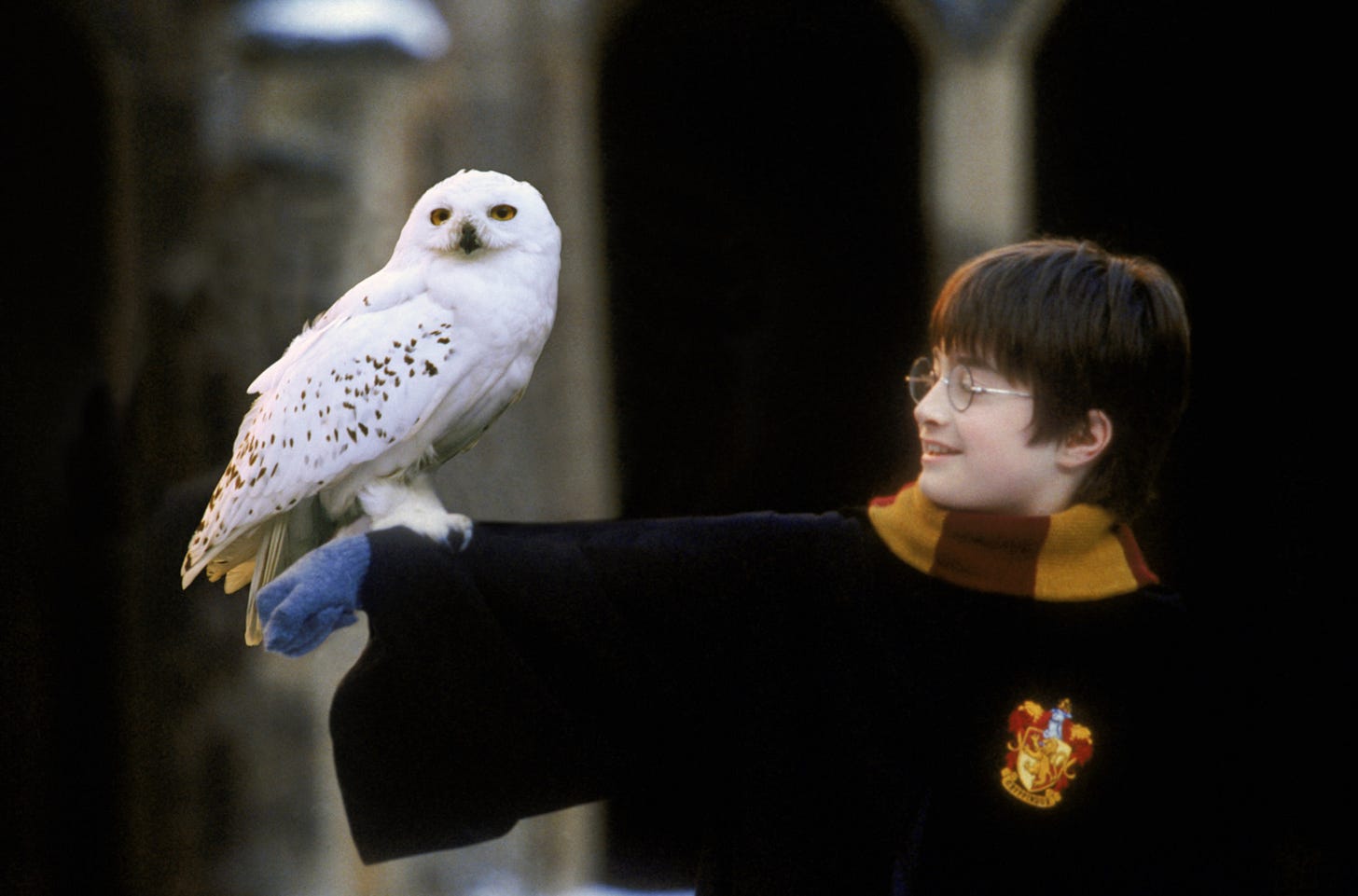 Owl | Harry Potter Wiki | Fandom