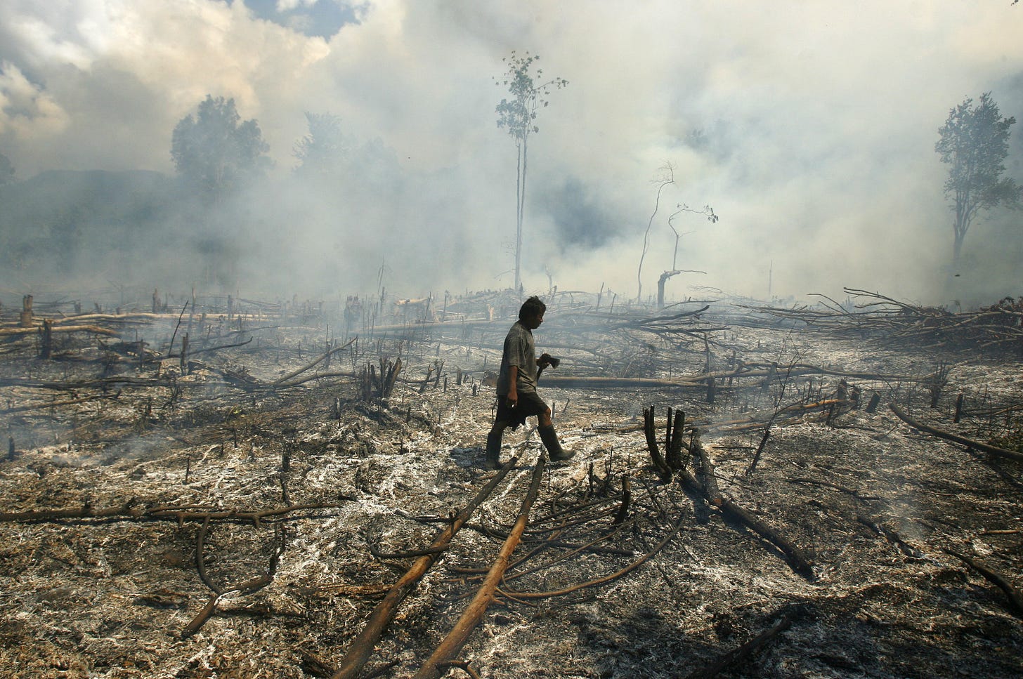 How Indigenous knowledge could help manage wildfire risk | World Economic Forum How Indigenous knowledge could help manage wildfire risk | World Economic Forum