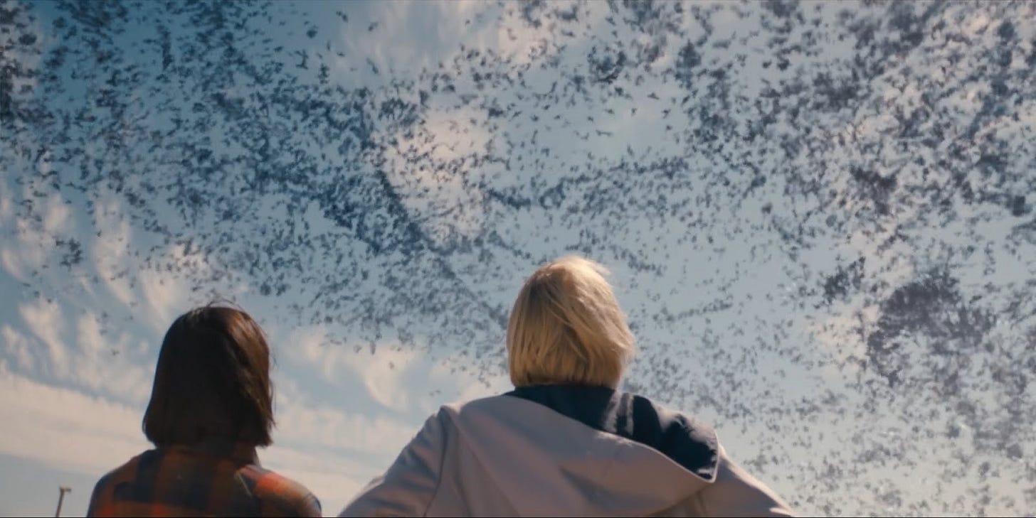 This image shows Suki Cheng (played by Molly Harris, left) and the Thirteenth Doctor (played by Jodie Whittaker, right) with their backs to the camera as they watch flocks of birds form a whirling, spinning, pinwheeling black mass in the blue sky above. This image shows Suki Cheng (played by Molly Harris, left) and the Thirteenth Doctor (played by Jodie Whittaker, right) with their backs to the camera as they watch flocks of birds form a whirling, spinning, pinwheeling black mass in the blue sky above.