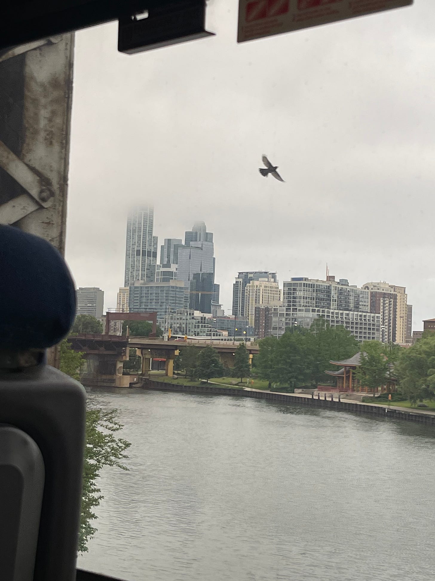 a view of the Chicago skyline. the sky is foggy, obscuring the tops of buildings. we are inside of a train car. we see parts of a bridge and a bird flying across the sky.