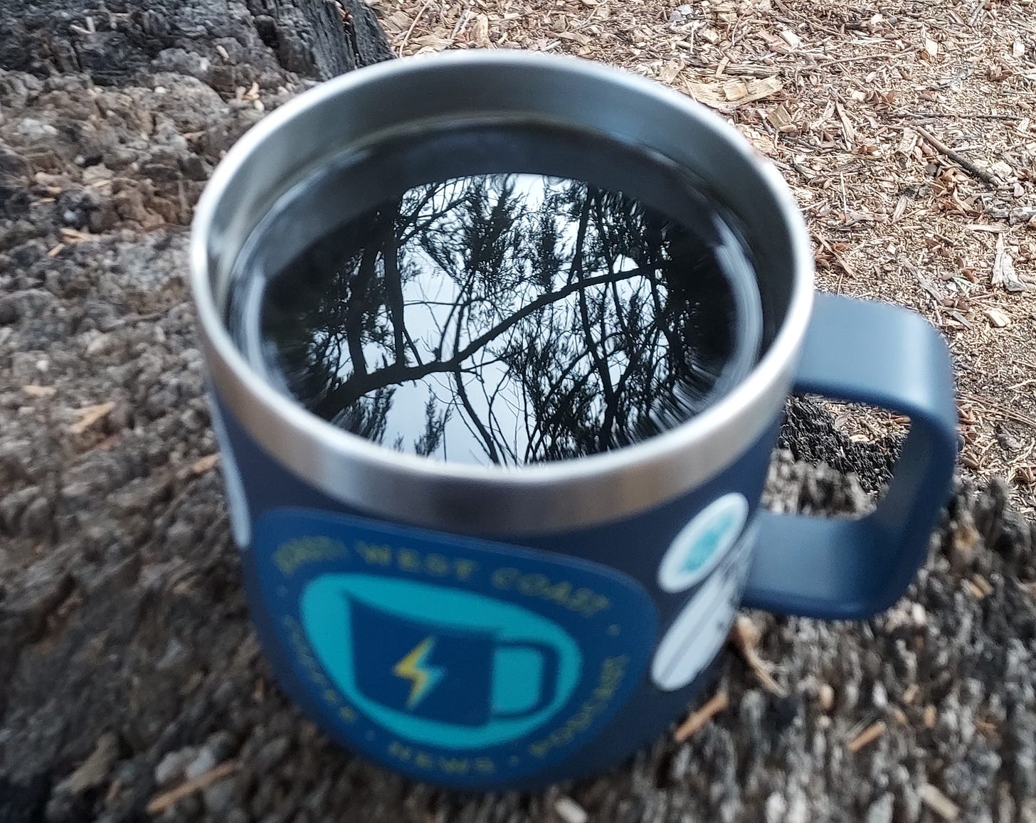 A close up of the reflection of pine trees in the top of a cup of coffee sitting on a stump.