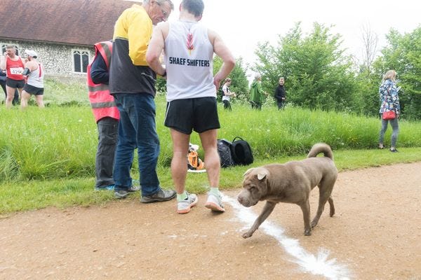 ....closely followed by a canine finisher.