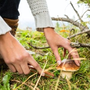 woman foraging mushroom to change food