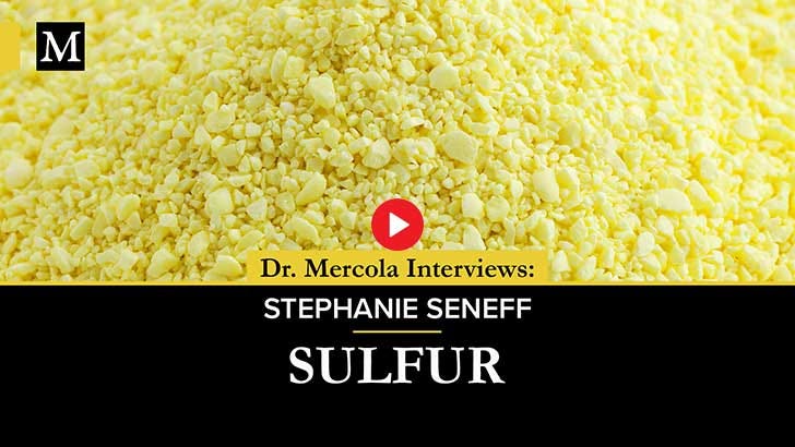 sulfur consumption reduces risk of death