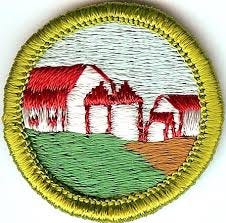 Merit Badge - Fully Embroidered, Cloth Back - 1961-1971